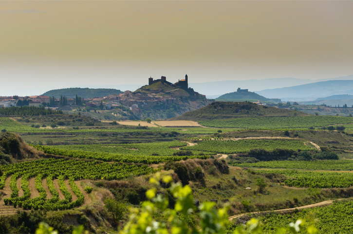 Torres Weingut – spanischer Weinproduzent mit Rot-, Weiß- und Roséweinen aus traditioneller und moderner Herstellung.