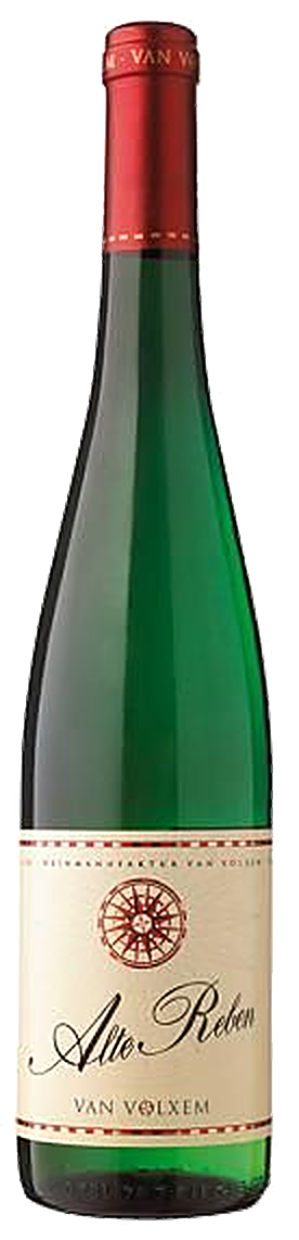 Van Volxem Riesling Alte Reben trocken
