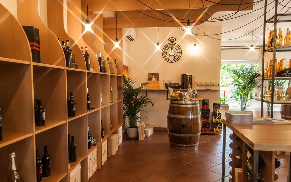 Weingut Velenosi in den Marken, Italien – Weinberge mit rund 145 ha Rebfläche nahe der Adria.