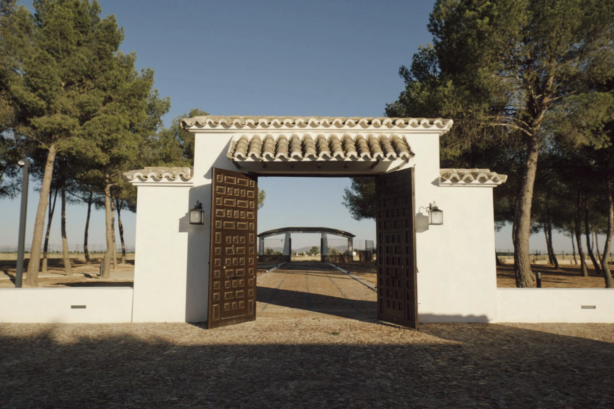 Eingangstor der Bodega Vinícola de Castilla zwischen Pinien in Manzanares, La Mancha