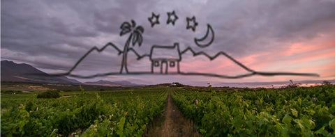 Springfontein Wine Estate