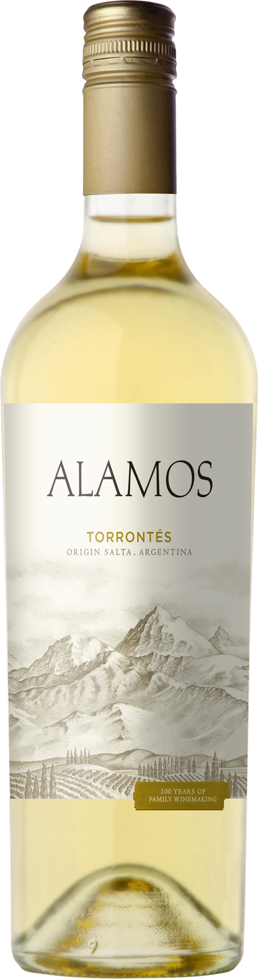 Alamos Torrontés