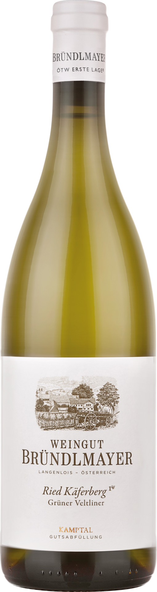 Bründlmayer Grüner Veltliner Käferberg Kamptal DAC 1ÖTW