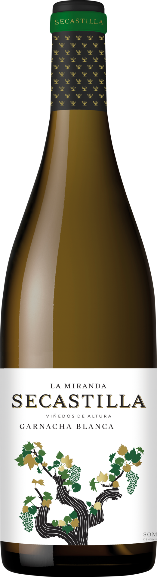 Viñas del Vero La Miranda de Secastilla Garnacha Blanca