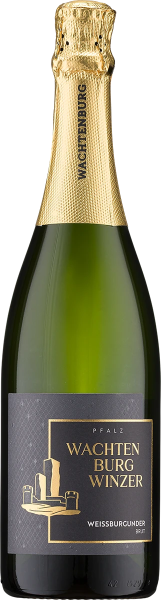 Wachtenburg Winzer Pinot Blanc Sekt Brut Pfalz – light-colored sparkling wine bottle with an elegant label