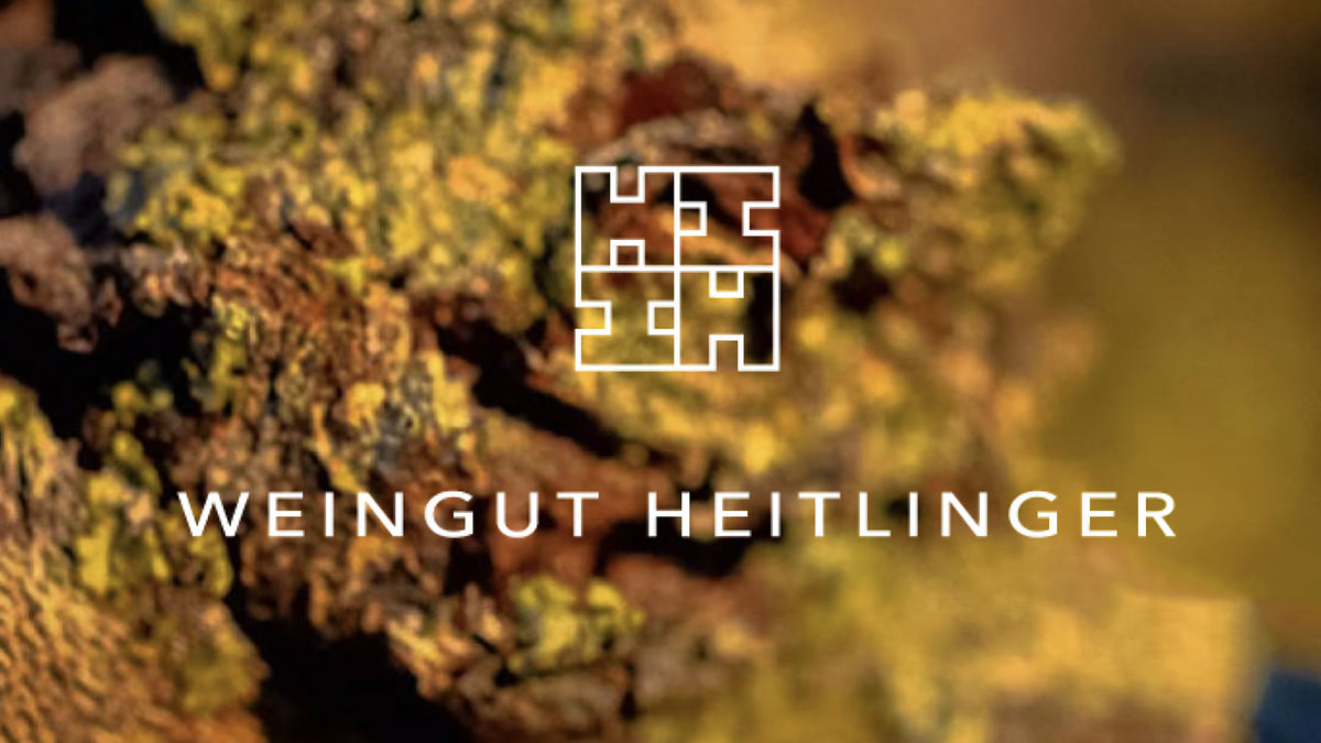 Weingut Heitlinger im Kraichgau, ökologisches VDP-Weingut auf 80 Hektar mit Burgundersorten, Riesling und Chardonnay.
