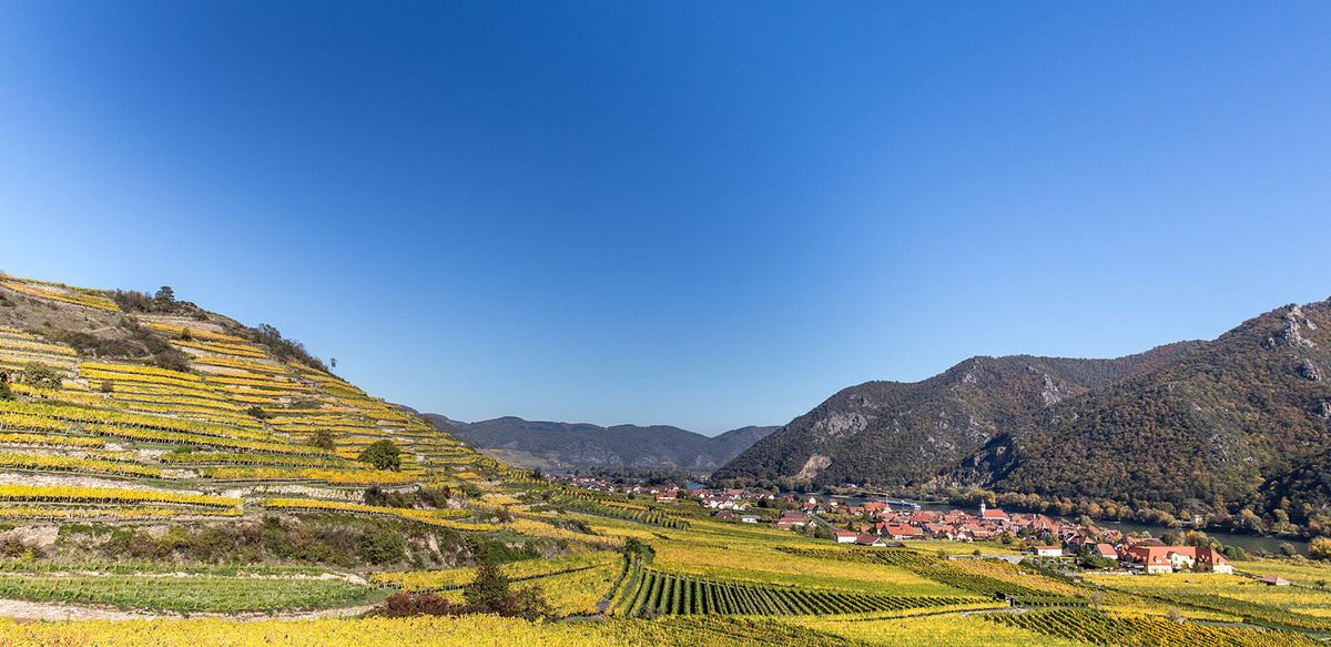 Weingut Rudi Pichler in Wösendorf, Wachau – Winzerfamilie seit 1731, bekannt für Grünen Veltliner und Riesling.