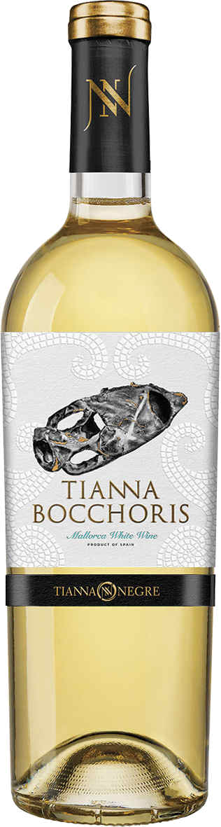 Tianna Bocchoris Blanc DO