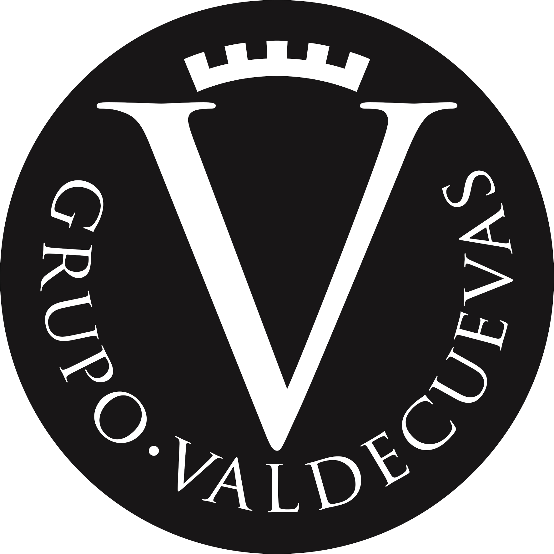 Grupo Valdecuevas